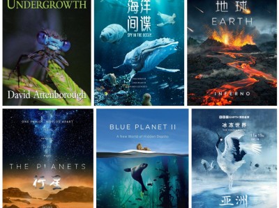 【344】BBC纪录片大合集 ( 77 部 ) 4K高码率 + 内封中英双语字幕，合计 942 GB