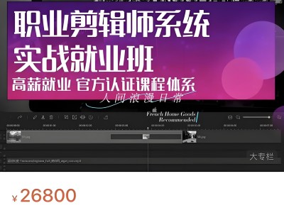 【312】售价26800的剪辑付费实战教程，想要靠剪辑挣钱，只要学这一套足够