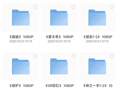 【315】韩国最出色的11部R限制电影，尺度非常之大，1080P画质 + 韩语内嵌中文字幕